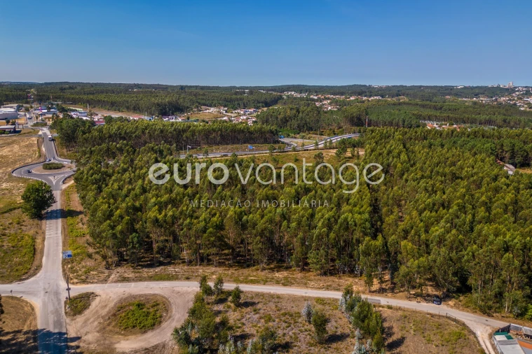 Terreno para Venda em Batalha Foto 13