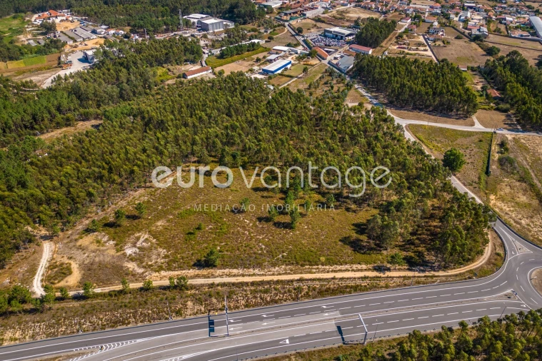 Terreno para Venda em Batalha Foto 20