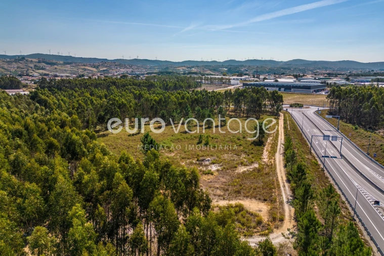 Terreno para Venda em Batalha Foto 2