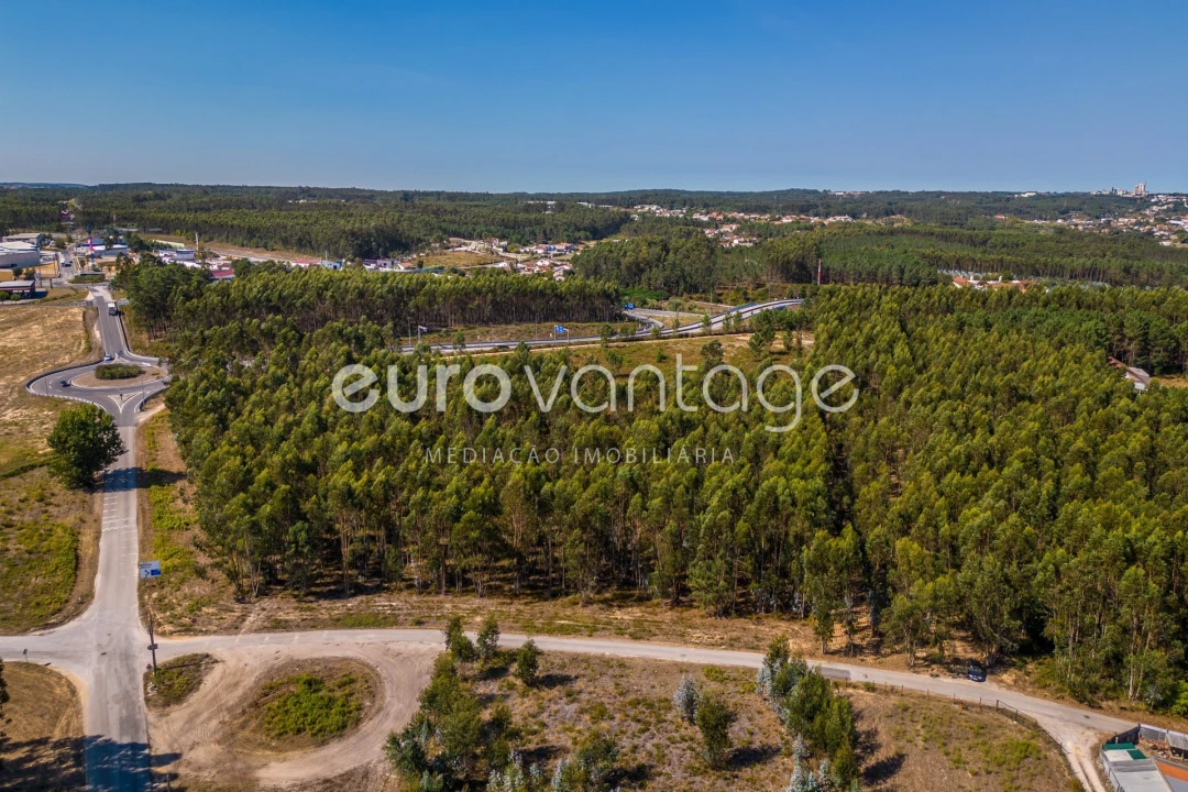 Terreno para Venda em Batalha Foto 13
