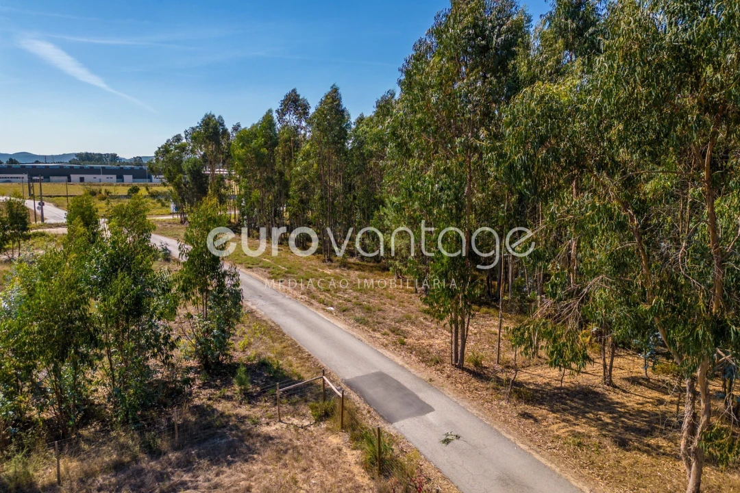 Terreno para Venda em Batalha Foto 3