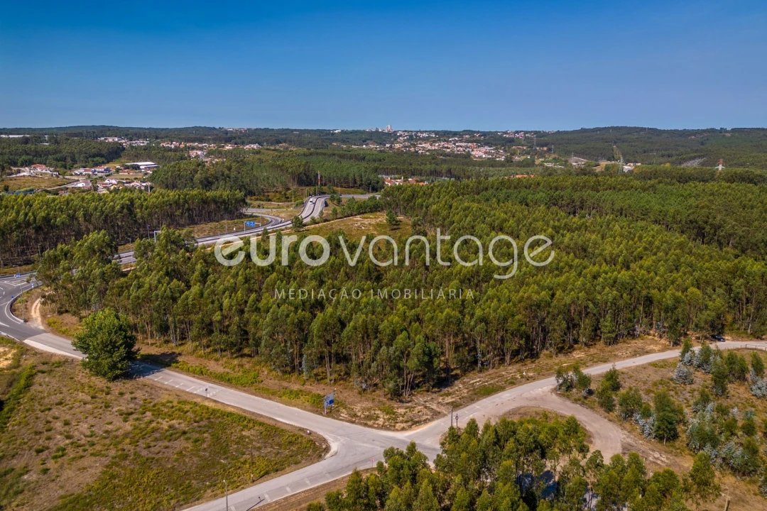 Terreno para Venda em Batalha Foto 14
