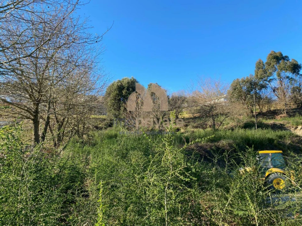 Terreno para Venda em Torrados e Sousa Foto 12