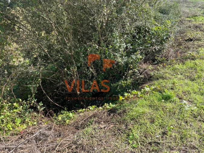 Terreno para Venda em Paredes Foto 20