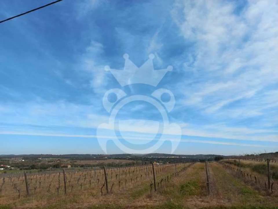 Terreno para Venda em Reguengos de Monsaraz Foto 4