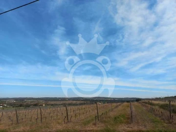 Terreno para Venda em Reguengos de Monsaraz