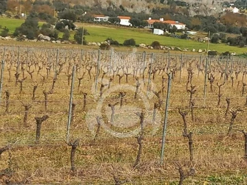 Terreno para Venda em Reguengos de Monsaraz