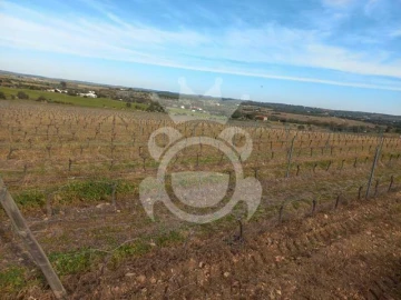 Terreno para Venda em Reguengos de Monsaraz