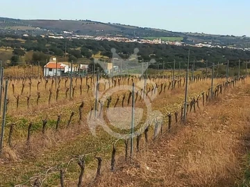 Terreno para Venda em Reguengos de Monsaraz