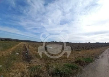 Terreno para Venda em Reguengos de Monsaraz