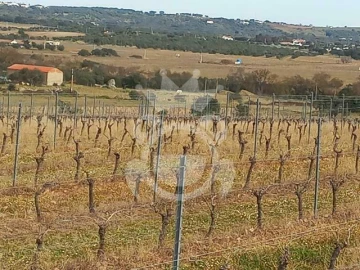 Terreno para Venda em Reguengos de Monsaraz