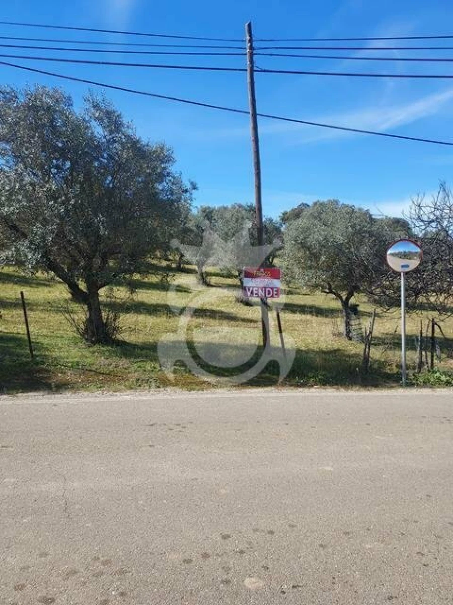 Terreno para Venda em Capelins (Santo Antonio)