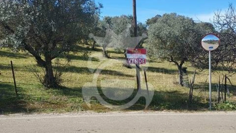 Terreno para Venda em Capelins (Santo Antonio)