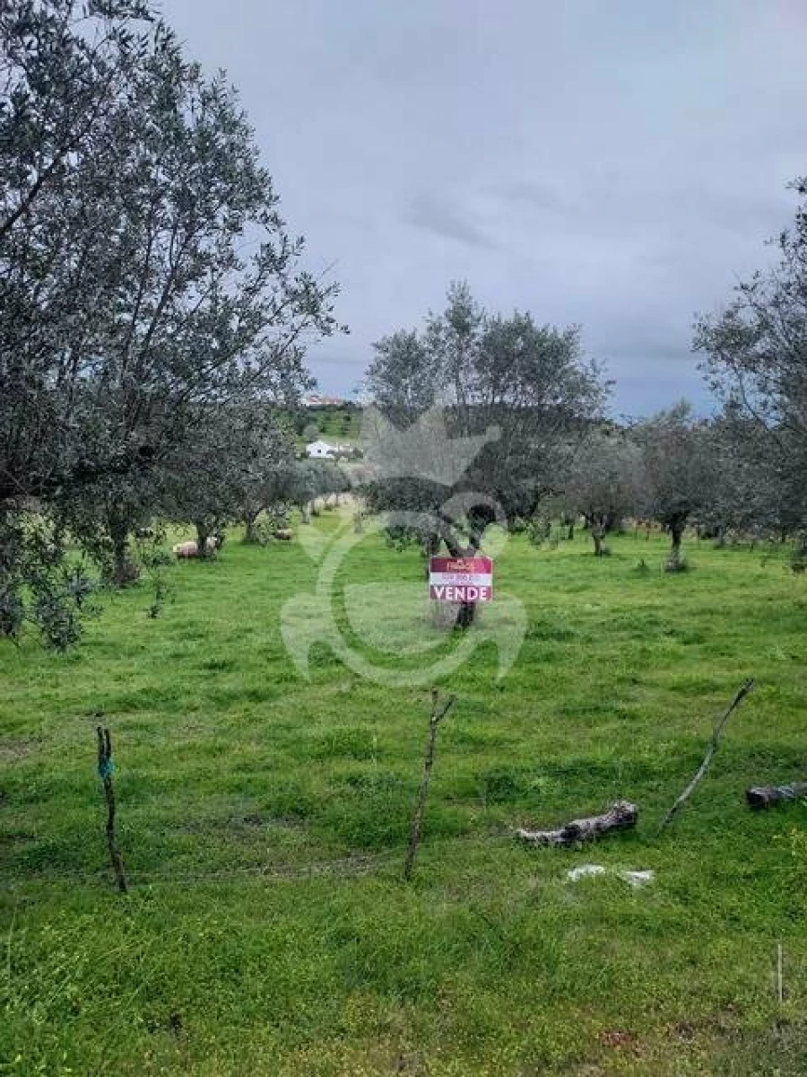 Terreno para Venda em Capelins (Santo Antonio) Foto 3