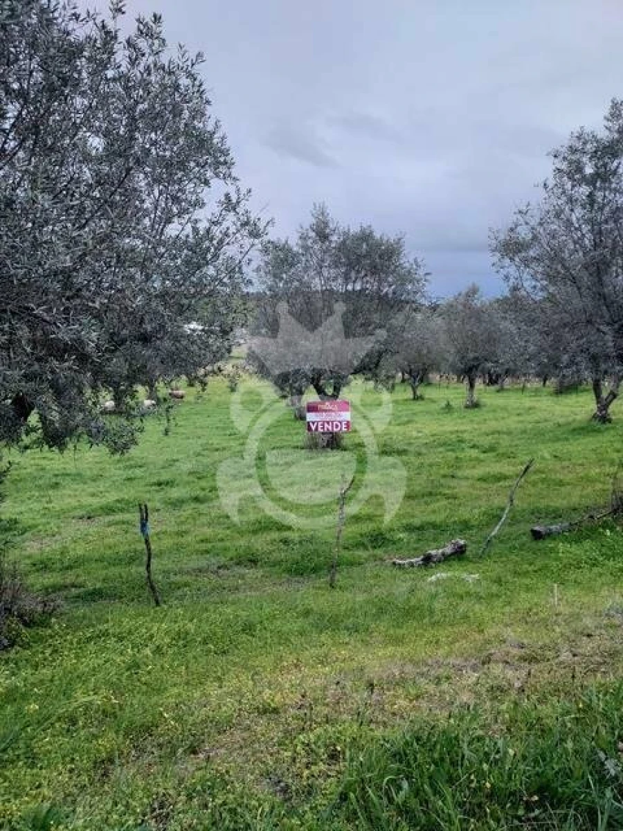 Terreno para Venda em Capelins (Santo Antonio)