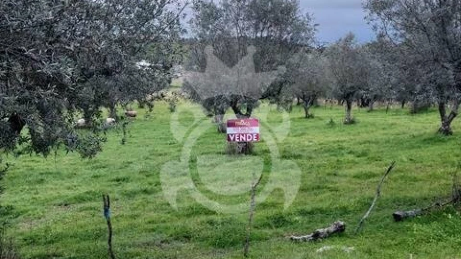 Terreno para Venda em Capelins (Santo Antonio)
