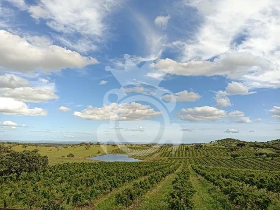 Terreno para Venda em Santiago Maior Foto 1