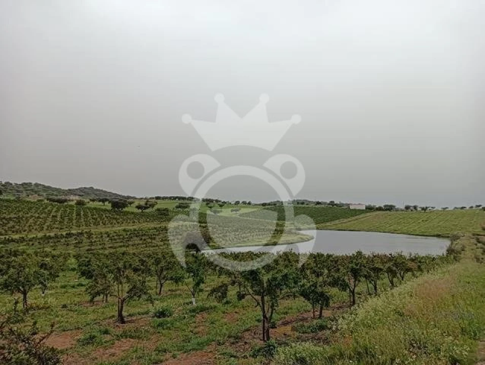 Terreno para Venda em Santiago Maior Foto 4