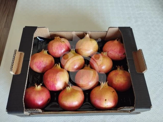 Terreno para Venda em Santiago Maior Foto 12