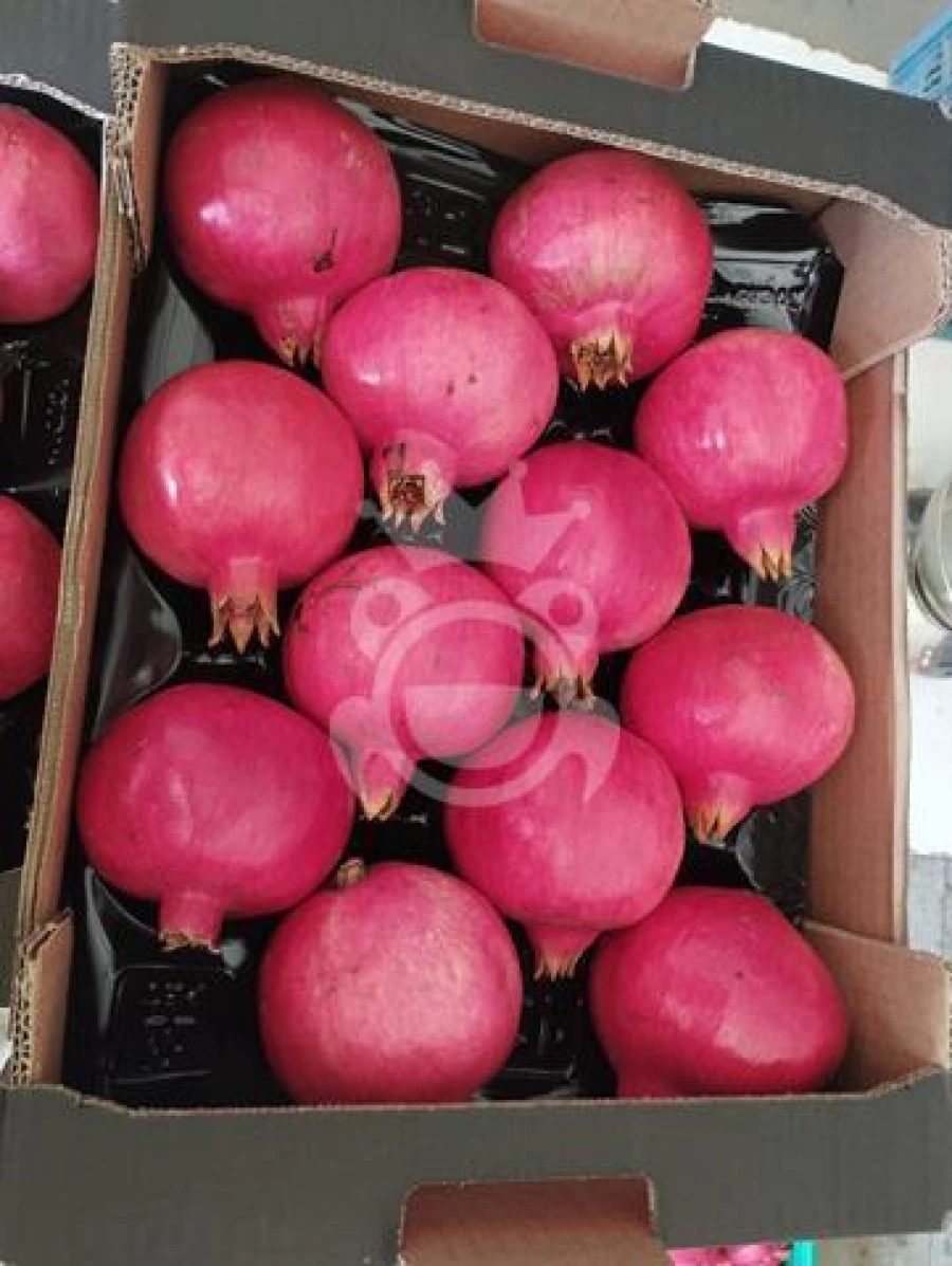 Terreno para Venda em Santiago Maior Foto 11