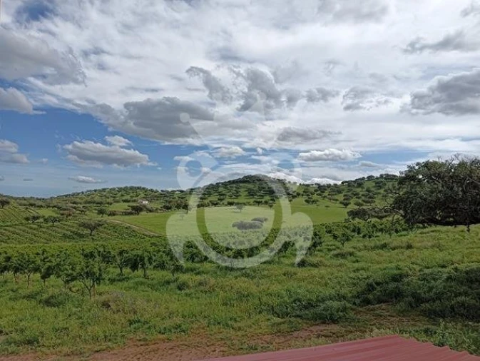 Terreno para Venda em Santiago Maior Foto 5