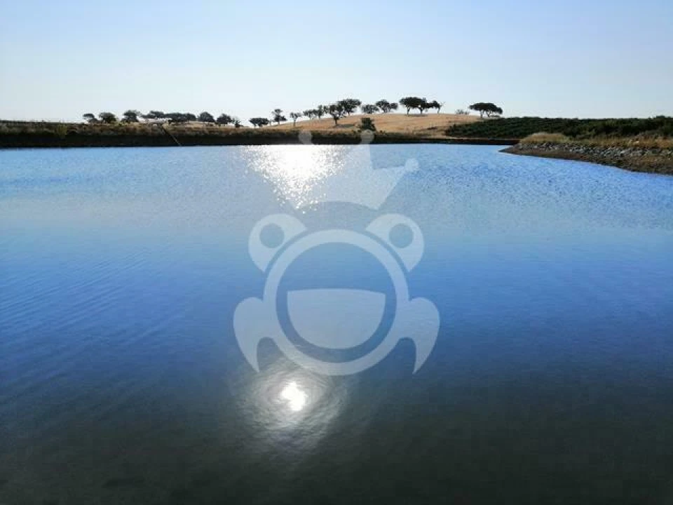 Terreno para Venda em Santiago Maior Foto 2