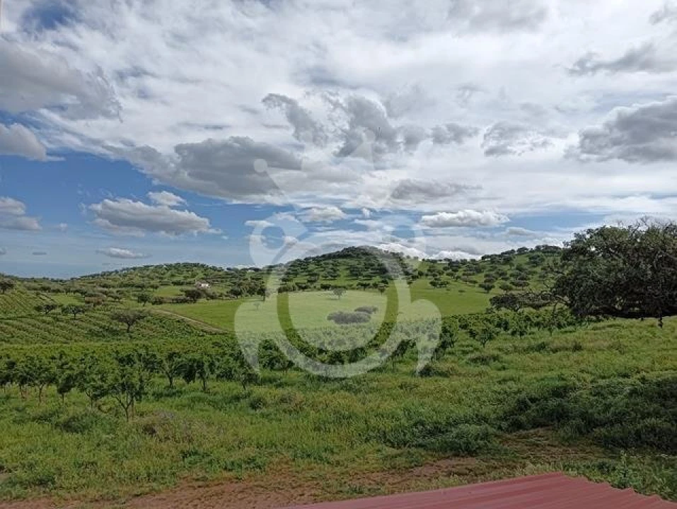 Terreno para Venda em Santiago Maior Foto 5