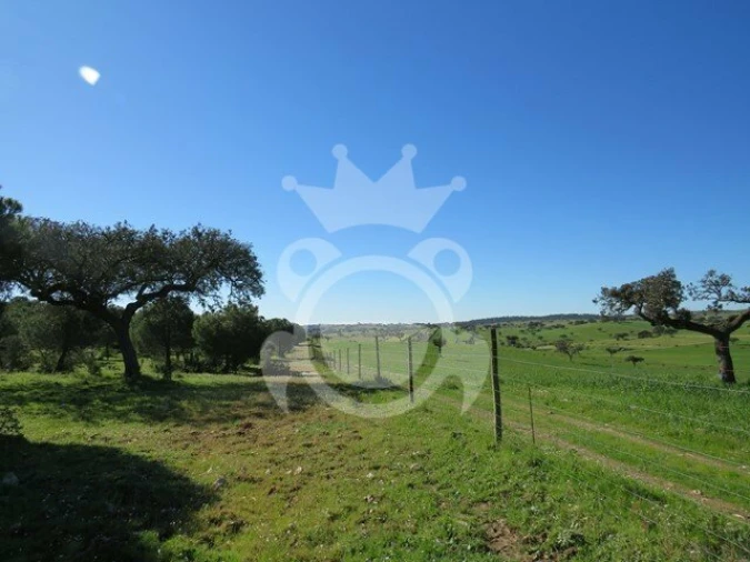 Terreno para Venda em Corval Foto 3