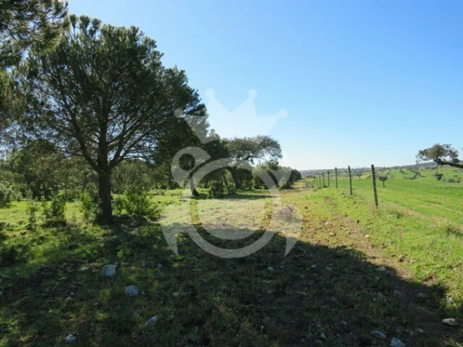 Terreno para Venda em Corval Foto 1