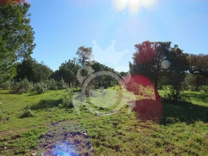 Terreno para Venda em Corval Foto 2