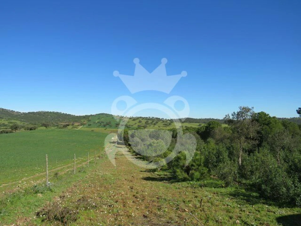 Terreno para Venda em Corval Foto 8