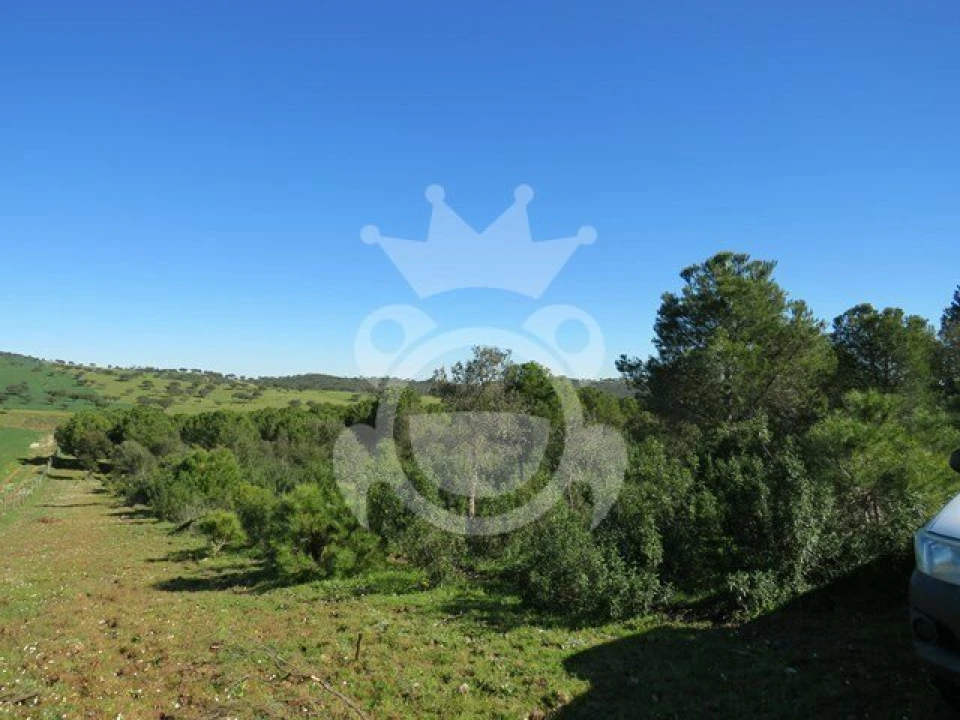 Terreno para Venda em Corval Foto 7