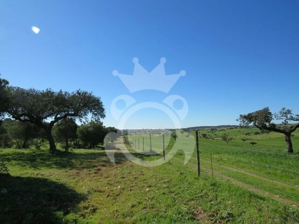 Terreno para Venda em Corval Foto 3