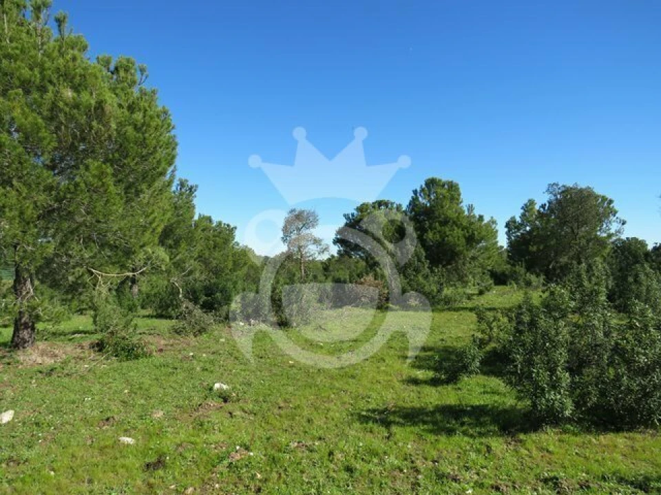 Terreno para Venda em Corval Foto 4