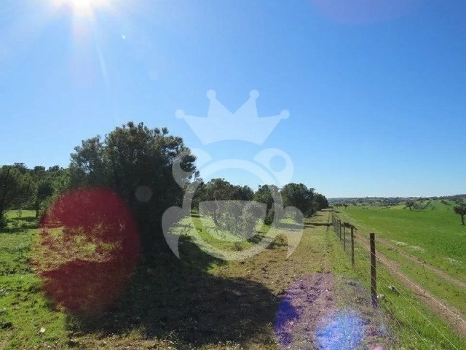 Terreno para Venda em Corval Foto 6
