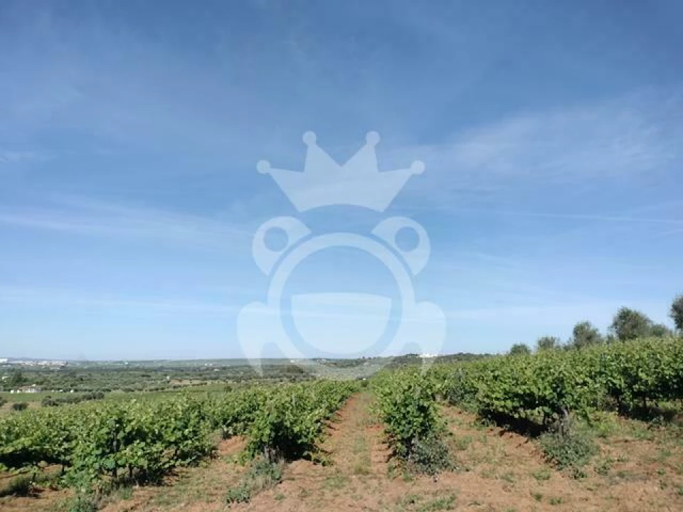 Terreno para Venda em Corval Foto 2