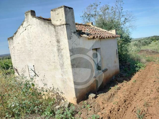 Terreno para Venda em Corval Foto 13