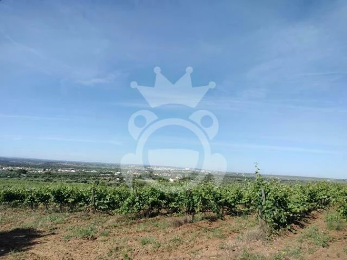 Terreno para Venda em Corval Foto 7