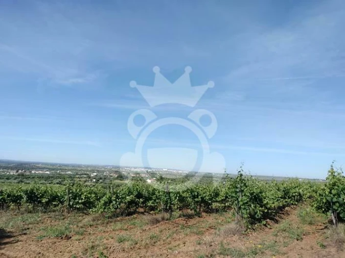 Terreno para Venda em Corval Foto 5