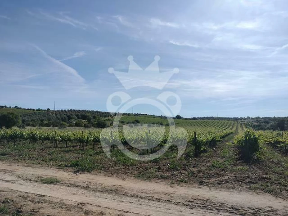 Terreno para Venda em Corval Foto 9