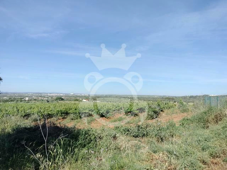 Terreno para Venda em Corval Foto 4