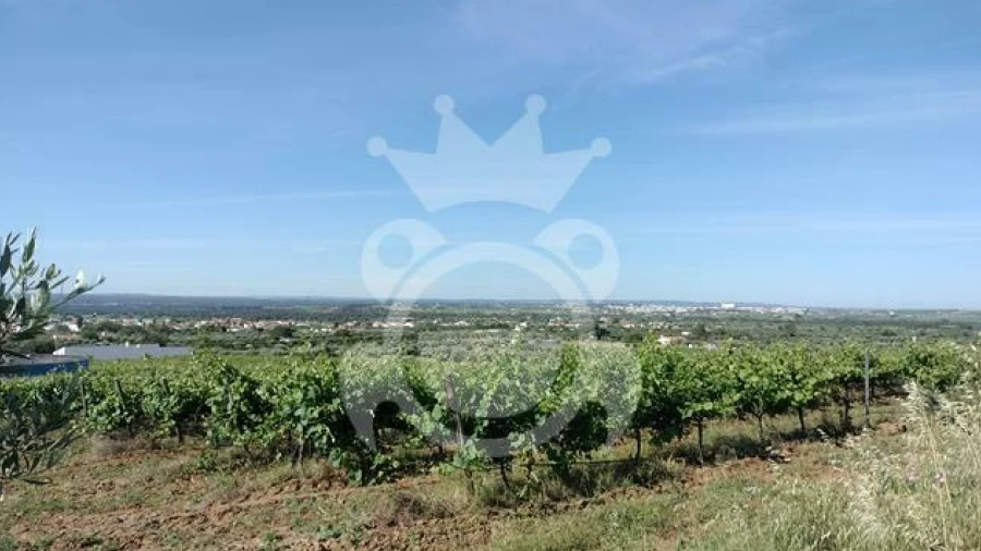 Terreno para Venda em Corval