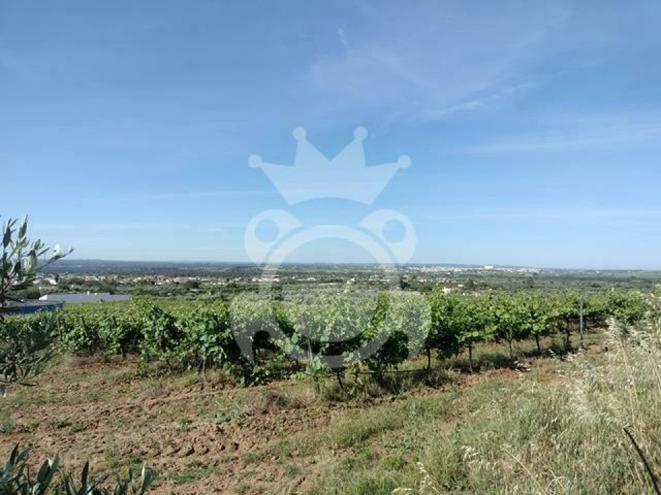 Terreno para Venda em Corval Foto 1