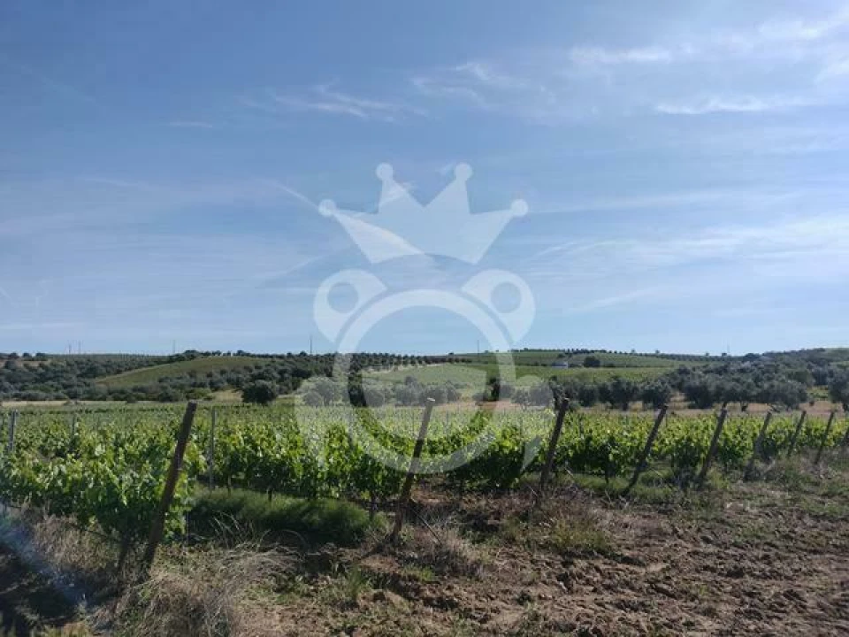 Terreno para Venda em Corval Foto 8