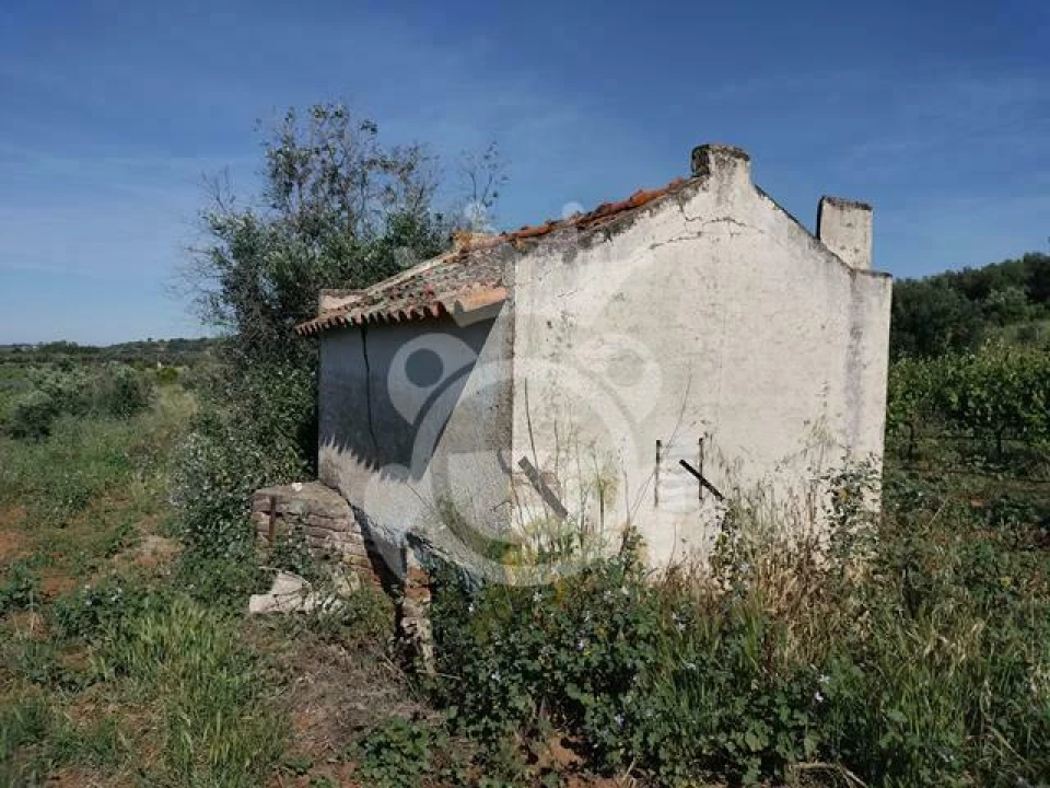 Terreno para Venda em Corval Foto 12