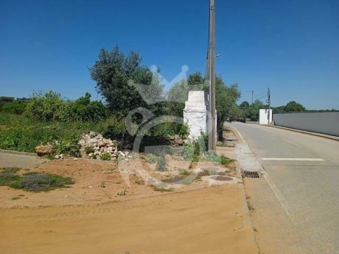 Terreno para Venda em Vera Cruz Foto 5