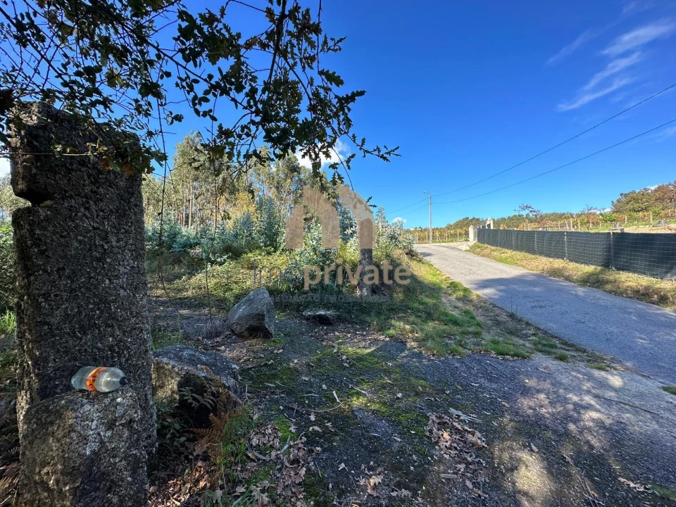 Terreno para Venda em Tagilde e Vizela (São Paio) Foto 4