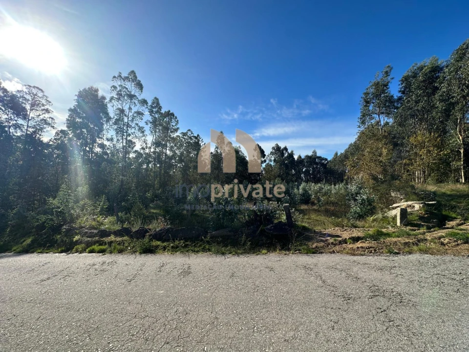 Terreno para Venda em Tagilde e Vizela (São Paio) Foto 3