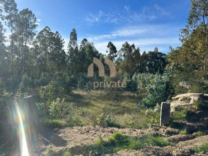 Terreno para Venda em Tagilde e Vizela (São Paio) Foto 5