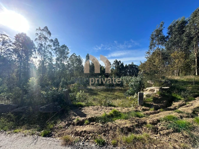 Terreno para Venda em Tagilde e Vizela (São Paio) Foto 6